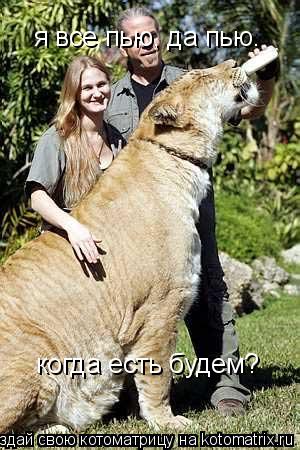 Котоматрица: я все пью, да пью. когда есть будем?