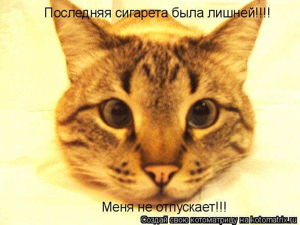 Последняя сигарета была лишней!!!! Меня не отпускает!!!... Котоматрица: Последняя сигарета была лишней!!!! Меня не отпускает!!!