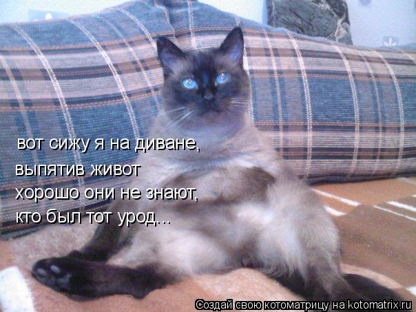 вот сижу я на диване, выпятив живот хорошо они не знают, кто был тот урод...... Котоматрица: вот сижу я на диване, выпятив живот хорошо они не знают, кто был тот урод...