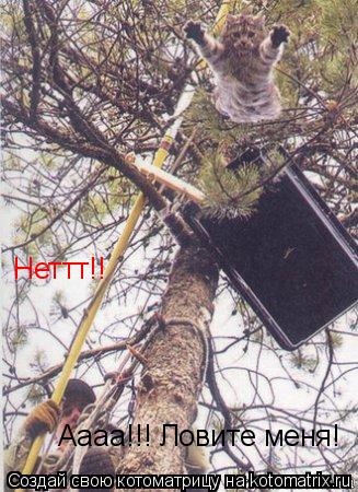 Аааа!!! Ловите меня! Неттт!!... Котоматрица: Аааа!!! Ловите меня! Неттт!!