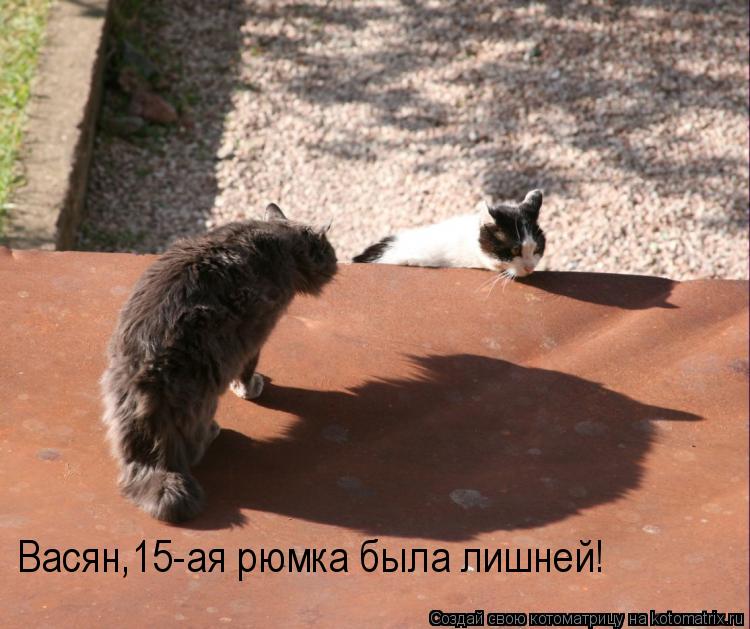 Васян,15-ая рюмка была лишней!... Котоматрица: Васян,15-ая рюмка была лишней!