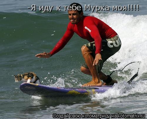 -Я иду к тебе Мурка моя!!!!... Котоматрица: -Я иду к тебе Мурка моя!!!!