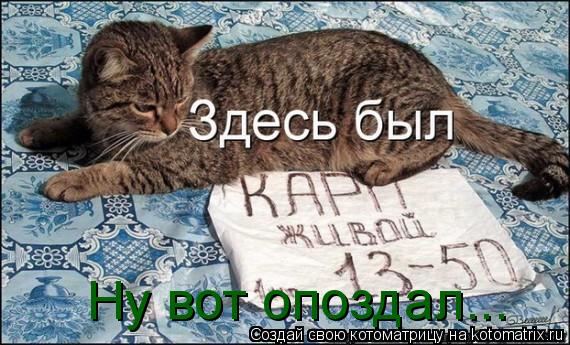 Ну вот опоздал...... Котоматрица: Ну вот опоздал...