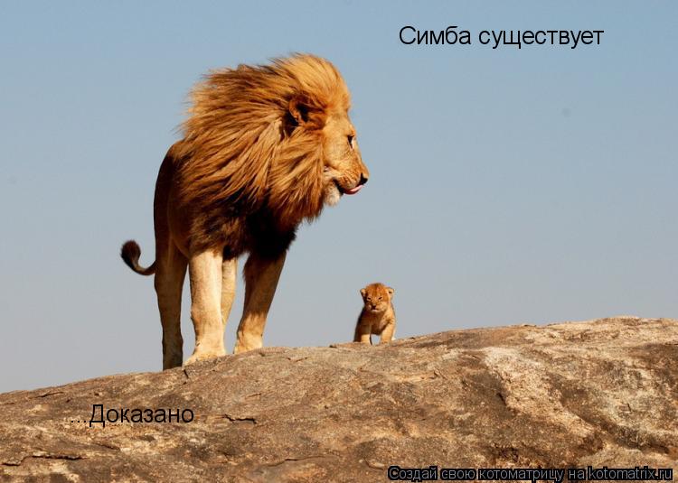 Симба существует ...Доказано... Котоматрица: Симба существует ...Доказано