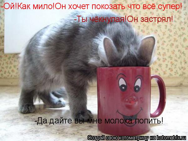 -Ой!Как мило!Он хочет покозать что всё супер! -Да дайте вы мне молока попить! -Ты чёкнулая!Он застрял... Котоматрица: -Ой!Как мило!Он хочет покозать что всё супер! -Да дайте вы мне молока попить! -Ты чёкнулая!Он застрял!