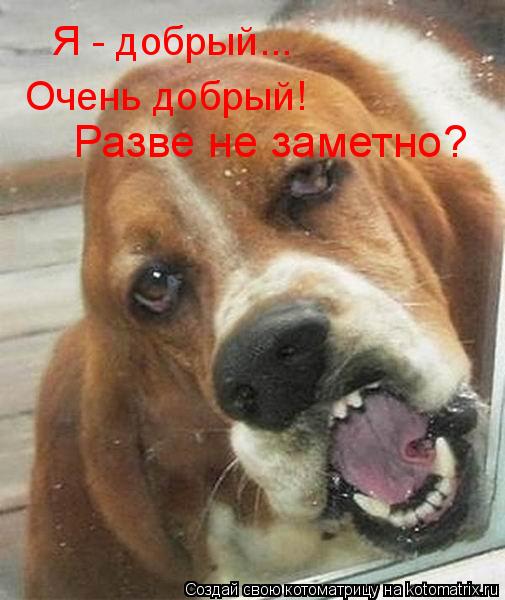 Я - добрый... Очень добрый! Разве не заметно?... Котоматрица: Я - добрый... Очень добрый! Разве не заметно?