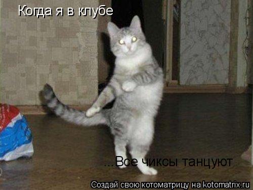 Когда я в клубе ...Все чиксы танцуют... Котоматрица: Когда я в клубе ...Все чиксы танцуют