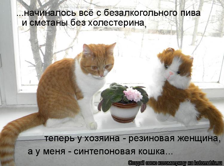 и сметаны без холестерина теперь у хозяина - резиновая женщина, а у меня - синтепоновая кошка... ...н... Котоматрица: и сметаны без холестерина теперь у хозяина - резиновая женщина, а у меня - синтепоновая кошка... ...начиналось всё с безалкогольного пива ,