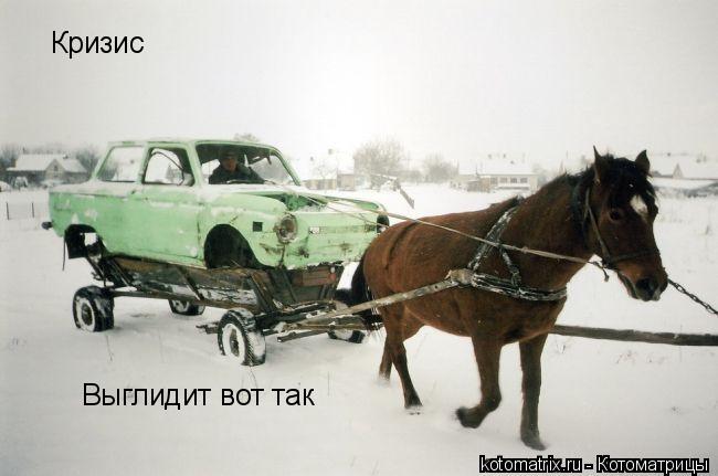 Кризис Выглидит вот так... Котоматрица: Кризис Выглидит вот так