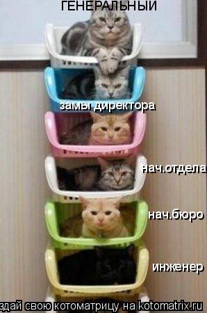 инженер нач.бюро нач.отдела ГЕНЕРАЛЬНЫЙ замы директора... Котоматрица: инженер нач.бюро нач.отдела ГЕНЕРАЛЬНЫЙ замы директора
