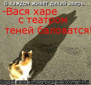 В каждом живёт дикий зверь... -Вася харе с театром теней баловатся!... Котоматрица: В каждом живёт дикий зверь... -Вася харе с театром теней баловатся!