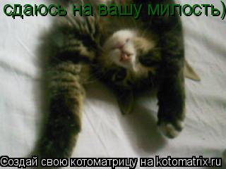 сдаюсь на вашу милость))... Котоматрица: сдаюсь на вашу милость))
