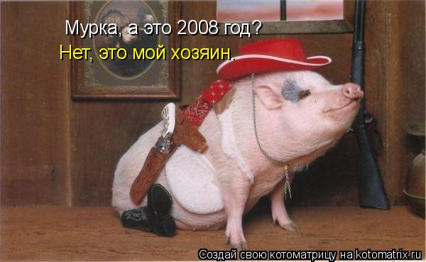 Мурка, а это 2008 год? Нет, это мой хозяин.... Котоматрица: Мурка, а это 2008 год? Нет, это мой хозяин.