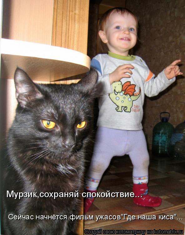 Котоматрица: Мурзик,сохраняй спокойствие... Сейчас начнётся фильм ужасов"Где наша киса"...