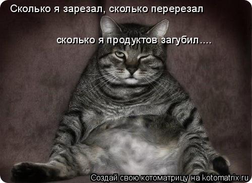 Котоматрица: Сколько я зарезал, сколько перерезал  сколько я продуктов загубил....