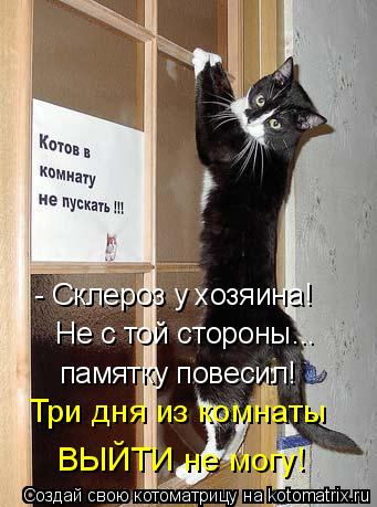 Котоматрица: - Склероз у хозяина! Не с той стороны... памятку повесил! Три дня из комнаты ВЫЙТИ не могу!