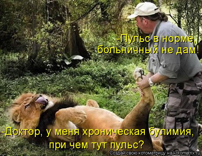 Котоматрица: -Пульс в норме,  больничный не дам! -Доктор, у меня хроническая булимия,  при чем тут пульс?