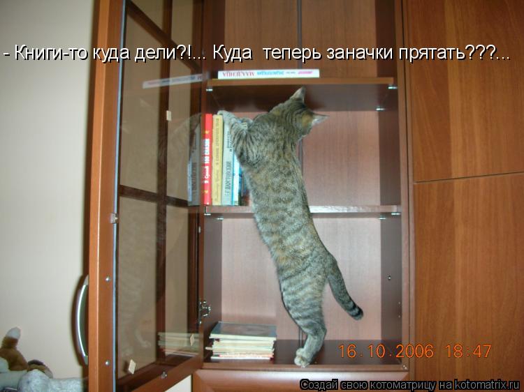 Котоматрица: - Книги-то куда дели?!... Куда  теперь заначки прятать???...