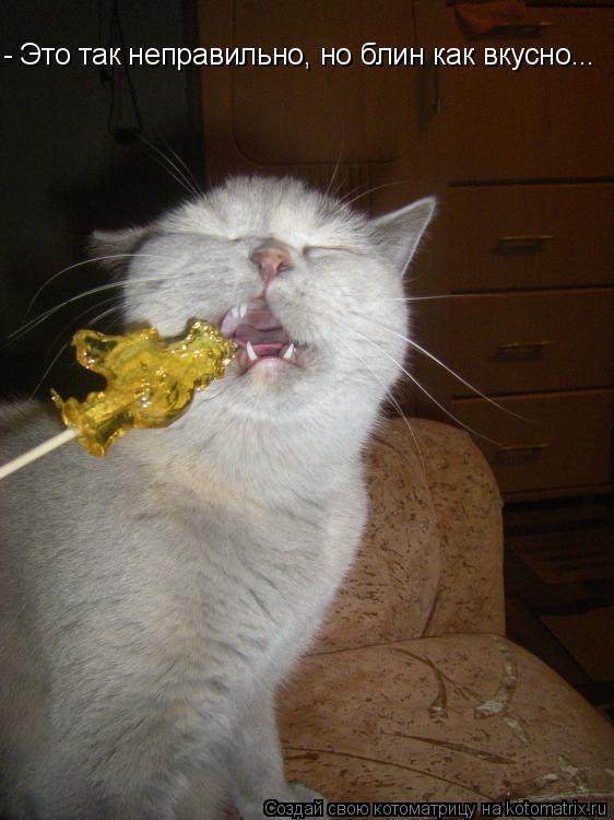 Котоматрица: - Это так неправильно, но блин как вкусно...