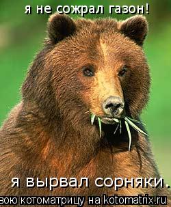 Котоматрица: я не сожрал газон! я вырвал сорняки.