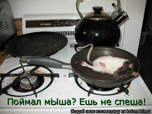 Котоматрица: Поймал мЫша? Ешь не спеша!