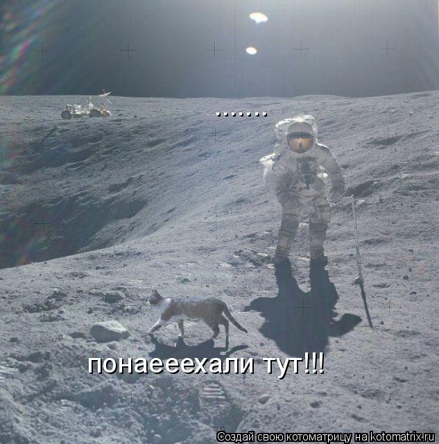 ....... понаееехали тут!!!... Котоматрица: ....... понаееехали тут!!!