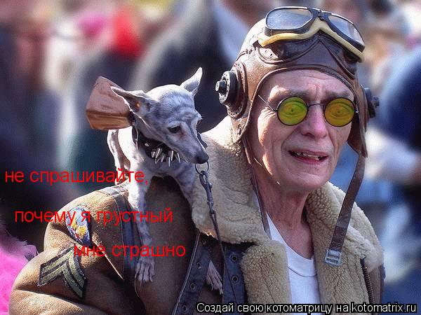 не спрашивайте, почему я грустный мне страшно... Котоматрица: не спрашивайте, почему я грустный мне страшно