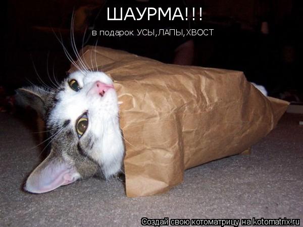 ШАУРМА!!! в подарок УСЫ,ЛАПЫ,ХВОСТ... Котоматрица: ШАУРМА!!! в подарок УСЫ,ЛАПЫ,ХВОСТ