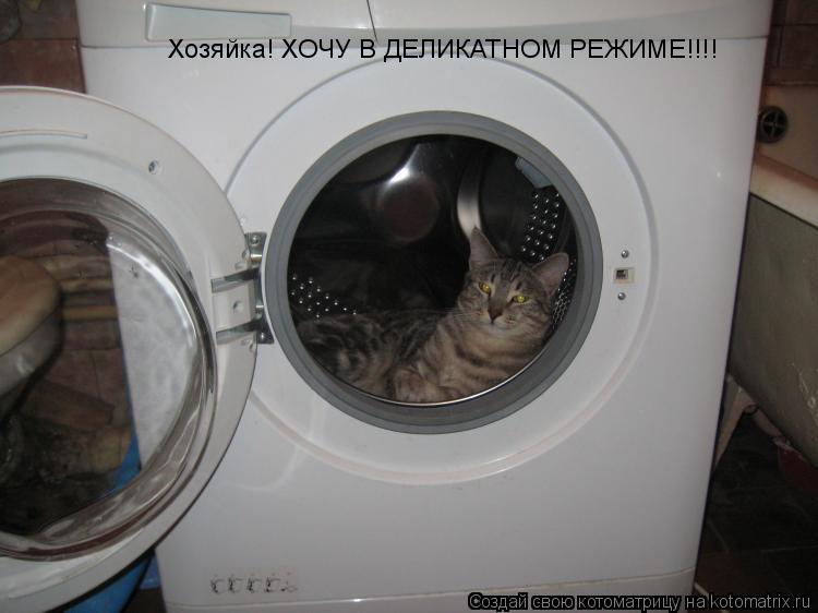 Хозяйка! ХОЧУ В ДЕЛИКАТНОМ РЕЖИМЕ!!!!... Котоматрица: Хозяйка! ХОЧУ В ДЕЛИКАТНОМ РЕЖИМЕ!!!!