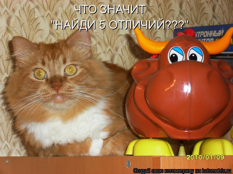 ЧТО ЗНАЧИТ "НАЙДИ 5 ОТЛИЧИЙ???"... Котоматрица: ЧТО ЗНАЧИТ "НАЙДИ 5 ОТЛИЧИЙ???"