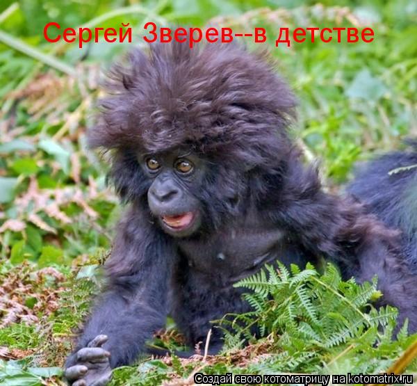 Котоматрица: Сергей Зверев--в детстве