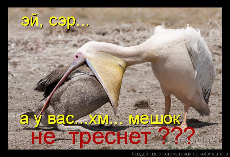 эй, сэр... а у вас...хм... мешок не треснет ???... Котоматрица: эй, сэр... а у вас...хм... мешок не треснет ???
