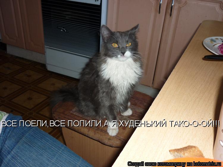 ВСЕ ПОЕЛИ,ВСЕ ПОПИЛИ,А Я ХУДЕНЬКИЙ ТАКО-О-ОЙ!!!... Котоматрица: ВСЕ ПОЕЛИ,ВСЕ ПОПИЛИ,А Я ХУДЕНЬКИЙ ТАКО-О-ОЙ!!!