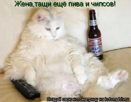 Жена,тащи ещё пива и чипсов!... Котоматрица: Жена,тащи ещё пива и чипсов!