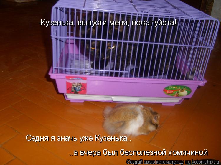 Котоматрица: -Кузенька, выпусти меня, пожалуйста! Седня я значь уже Кузенька.. ..а вчера был бесполезной хомячиной
