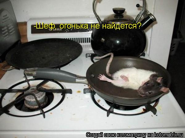 Котоматрица: -Шеф, огонька не найдется?