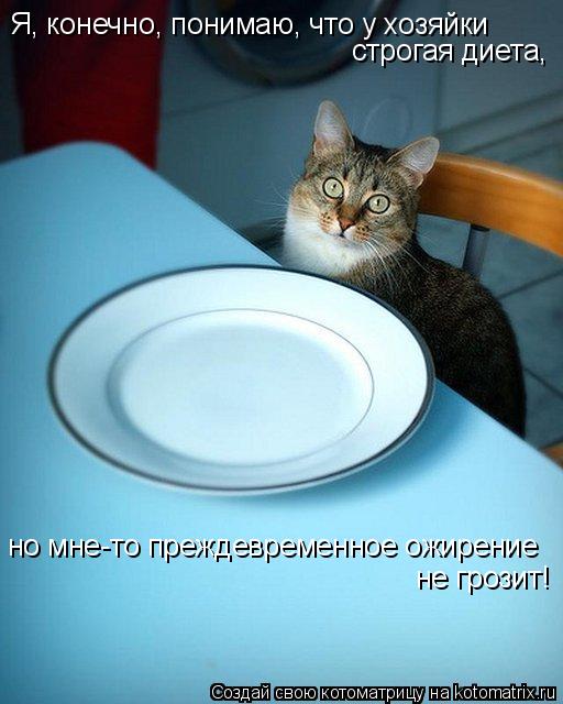 Котоматрица: Я, конечно, понимаю, что у хозяйки строгая диета, но мне-то преждевременное ожирение не грозит!
