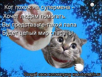 Котоматрица: Кот похож на супермена - Хочет людям помогать. Вы представьте-такой лапа Будет целый мир спасать! &#9787;ўѕ