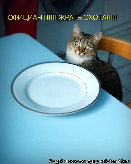 Котоматрица: ОФИЦИАНТ!!!!! ЖРАТЬ ОХОТА!!!!!