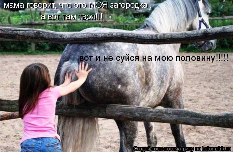 а вот там твоя!!! вот и не суйся на мою половину!!!!! мама говорит, что это МОЯ загородка ,... Котоматрица: а вот там твоя!!! вот и не суйся на мою половину!!!!! мама говорит, что это МОЯ загородка ,