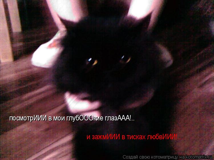 Котоматрица: посмотрИИИ в мои глубОООкие глазААА!.. и зажмИИИ в тисках любвИИИ!..