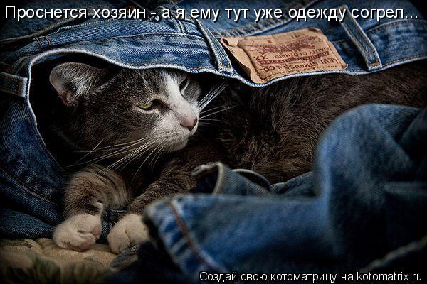 Проснется хозяин - а я ему тут уже одежду согрел...... Котоматрица: Проснется хозяин - а я ему тут уже одежду согрел...