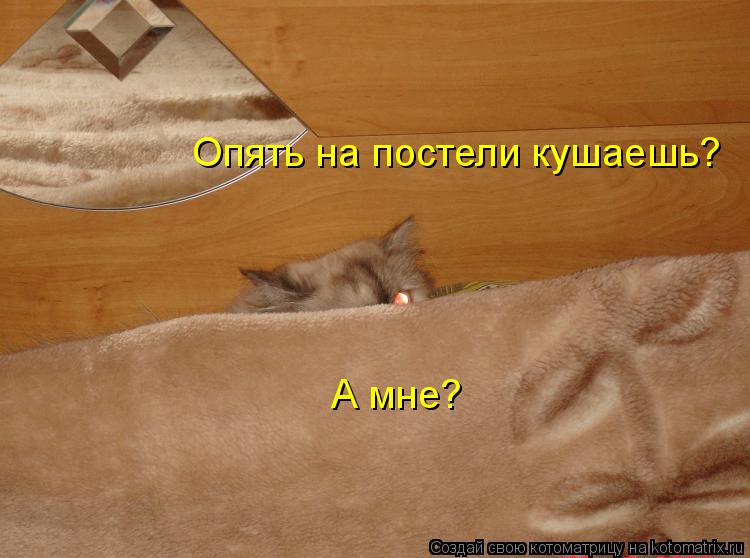 Опять на постели кушаешь? А мне?... Котоматрица: Опять на постели кушаешь? А мне?