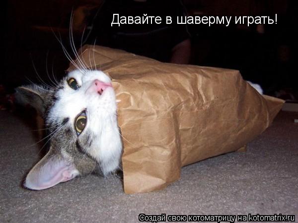 Котоматрица: Давайте в шаверму играть!