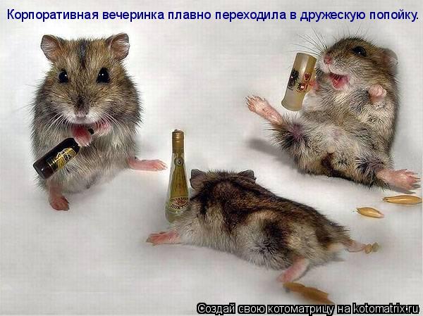Котоматрица: Корпоративная вечеринка плавно переходила в дружескую попойку.