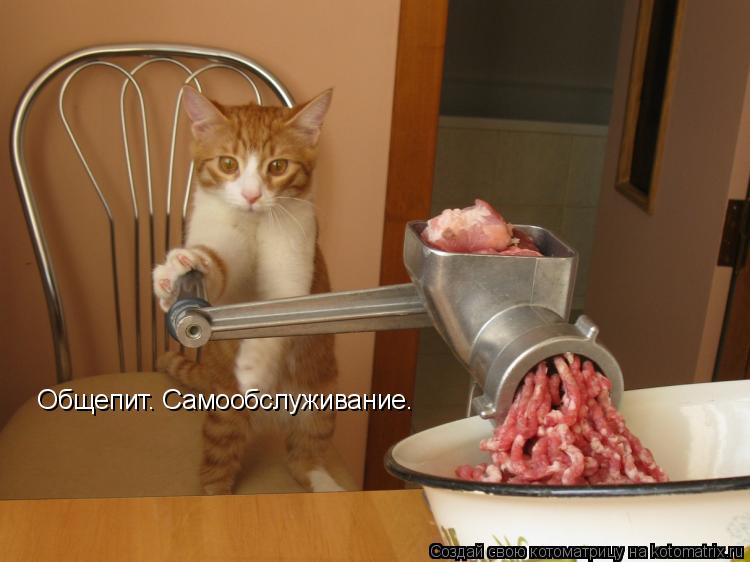 Общепит. Самообслуживание.... Котоматрица: Общепит. Самообслуживание.