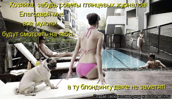 Хозяйка, забудь советы глянцевых журналов! Благодаря мне будут смотреть на тебя, все мужики а ту блон... Котоматрица: Хозяйка, забудь советы глянцевых журналов! Благодаря мне будут смотреть на тебя, все мужики а ту блондинку даже не заметят!