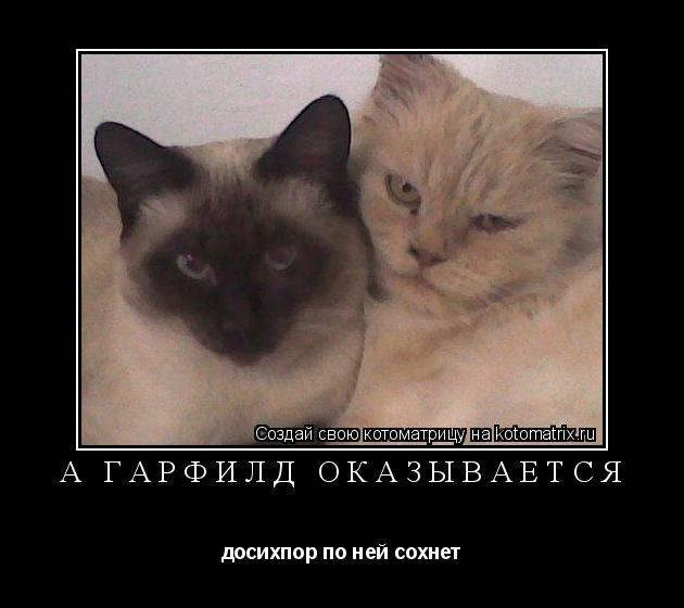 А Гарфилд оказывается досихпор по ней сохнет... Котоматрица: А Гарфилд оказывается досихпор по ней сохнет
