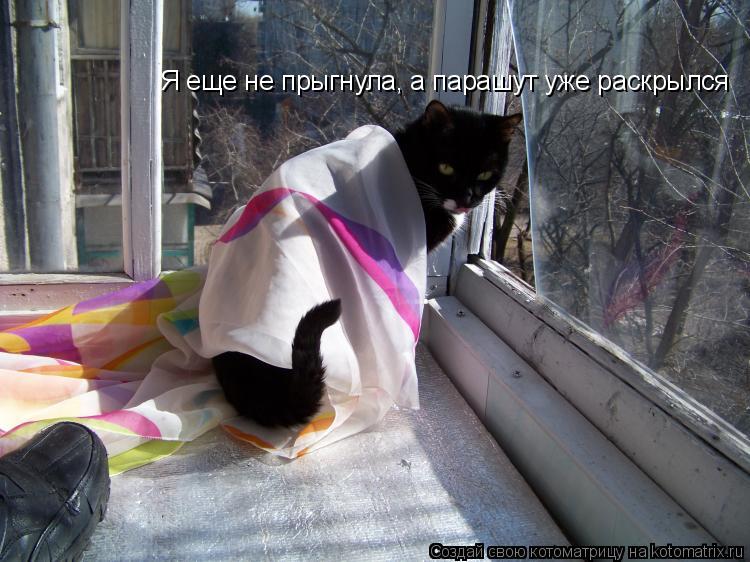 Котоматрица: Я еще не прыгнула, а парашут уже раскрылся