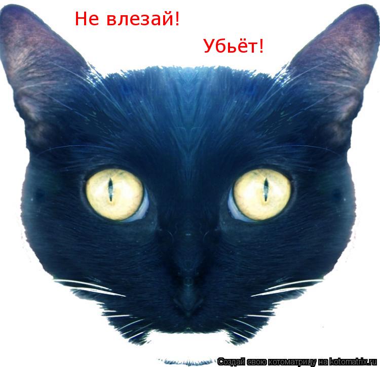 Котоматрица: Не влезай! Убьёт!